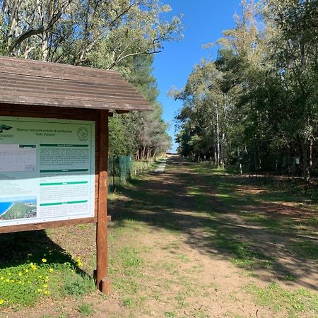 Villaggio Camping Uria Foce Varano Luaran gambar